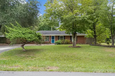 233 Buff Circle, Wilmington, NC 28411 - Photo 43