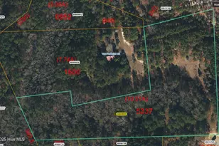 Lot 8 Flowers Rd, Jackson Springs, NC 27281 - Photo 1