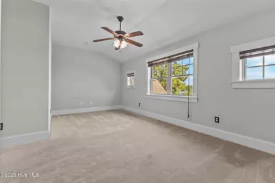 41 S Horsepen Road, Harrells, NC 28444 - Photo 45