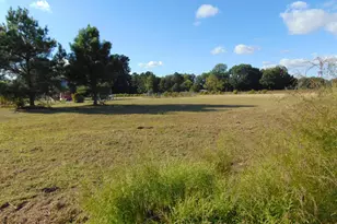 13619 US Hwy 258, Scotland Neck, NC 27874 - Photo 67
