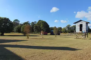 13619 US Hwy 258, Scotland Neck, NC 27874 - Photo 65