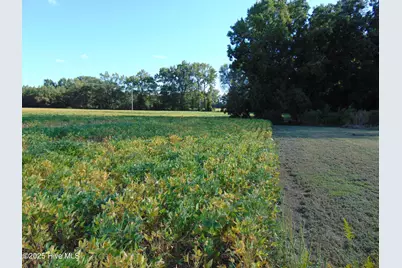 13619 US Highway 258, Scotland Neck, NC 27874 - Photo 69