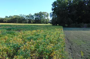 13619 US Hwy 258, Scotland Neck, NC 27874 - Photo 69