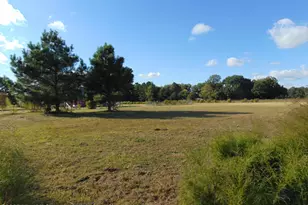 13619 US Hwy 258, Scotland Neck, NC 27874 - Photo 99