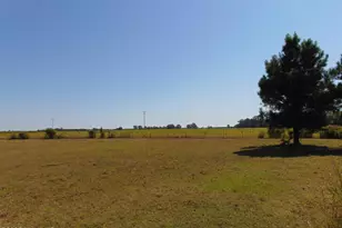 13619 US Hwy 258, Scotland Neck, NC 27874 - Photo 11