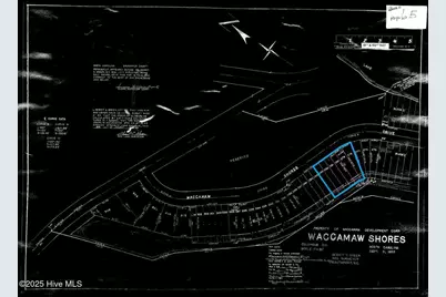 250 Waccamaw Shores Road, Lake Waccamaw, NC 28450 - Photo 29