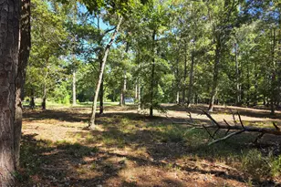 828 Loblolly Dr SW, Shallotte, NC 28470 - Photo 21