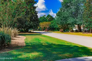 311 Red Fox Run Dr, Wallace, NC 28466 - Photo 65