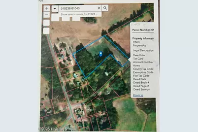 Tr #2 McQueen Road, Laurinburg, NC 28352 - Photo 3