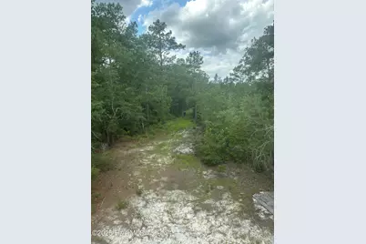 250 Long Bluff Road, Currie, NC 28435 - Photo 23