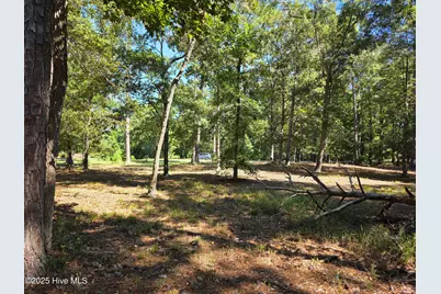 828 Loblolly Drive SW, Shallotte, NC 28470 - Photo 5