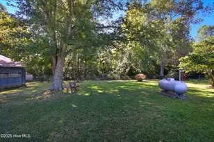 163 Maple Rd, Maple, NC 27956 - Photo 9