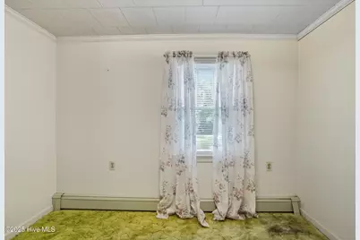 163 Maple Road, Maple, NC 27956 - Photo 25