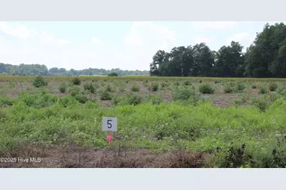 926 Whaley Road, Kinston, NC 28501 - Photo 1