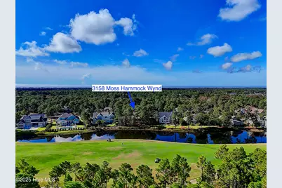 3158 Moss Hammock Wynd, Southport, NC 28461 - Photo 37
