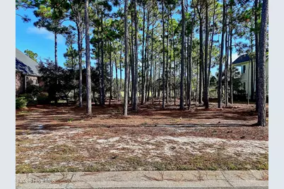 3158 Moss Hammock Wynd, Southport, NC 28461 - Photo 13
