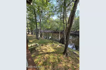 708 Albert Beatty Lane, Harrells, NC 28444 - Photo 65