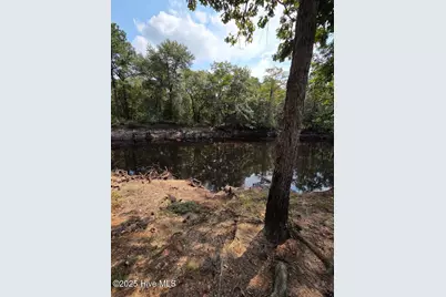 708 Albert Beatty Lane, Harrells, NC 28444 - Photo 75