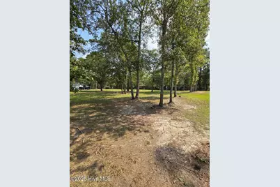 708 Albert Beatty Lane, Harrells, NC 28444 - Photo 61