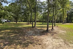 708 Albert Beatty Ln, Harrells, NC 28444 - Photo 61