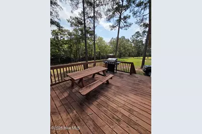 708 Albert Beatty Lane, Harrells, NC 28444 - Photo 23