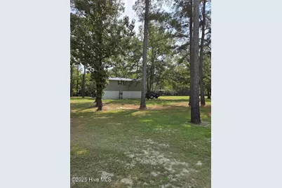 708 Albert Beatty Lane, Harrells, NC 28444 - Photo 55