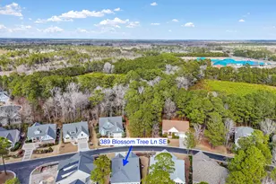 389 Blossom Tree Ln SE, Bolivia, NC 28422 - Photo 41
