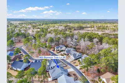 389 Blossom Tree Lane SE, Bolivia, NC 28422 - Photo 39