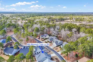 389 Blossom Tree Ln SE, Bolivia, NC 28422 - Photo 39