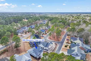 389 Blossom Tree Ln SE, Bolivia, NC 28422 - Photo 59