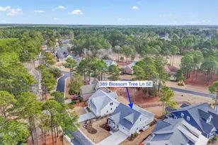 389 Blossom Tree Ln SE, Bolivia, NC 28422 - Photo 37
