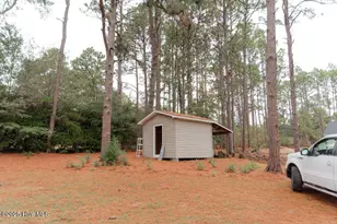 303 Dogwood Ln, Hamlet, NC 28345 - Photo 39