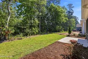 3164 Painted Turtle Loop, Wilmington, NC 28409 - Photo 41