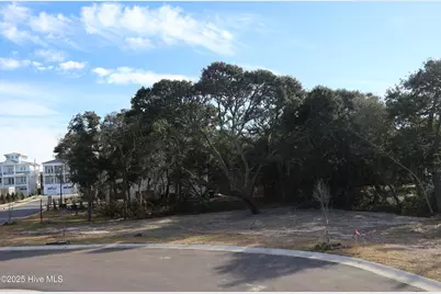 151 Auger Shell Court, Surf City, NC 28445 - Photo 51