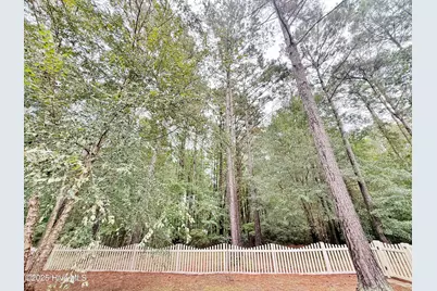 24 Muscadine Court, Minnesott Beach, NC 28510 - Photo 41