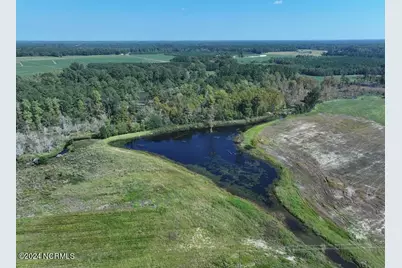 Tbd Cowpen Swamp Road, Fairmont, NC 28340 - Photo 5