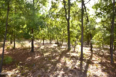 1035 Mill Road, Jackson Springs, NC 27281 - Photo 3