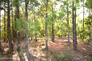 1035 Mill Rd, Jackson Springs, NC 27281 - Photo 1
