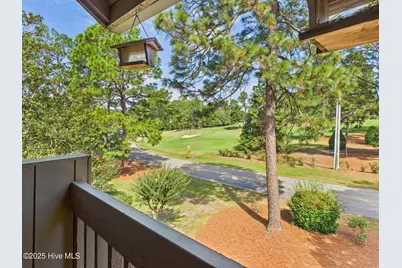 250 Sugar Gum Lane #201, Pinehurst, NC 28374 - Photo 27