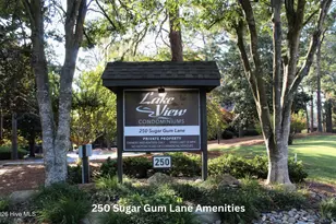 250 Sugar Gum Ln, Pinehurst, NC 28374 - Photo 45