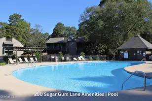 250 Sugar Gum Ln, Pinehurst, NC 28374 - Photo 49