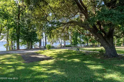 212 Lakeshore Drive, Lake Waccamaw, NC 28450 - Photo 39