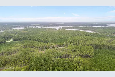 365 Tar Creek Road, Oriental, NC 28571 - Photo 9