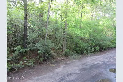 1253 Crooked Pine Road, Wilmington, NC 28411 - Photo 1