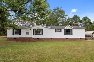 83 & 91 Flying Eagle Dr, Snow Hill, NC 28580 - Photo 1