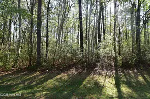 902 River Reach Ct, New Bern, NC 28560 - Photo 1