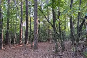 91A Palomino Rd, Carthage, NC 28327 - Photo 1