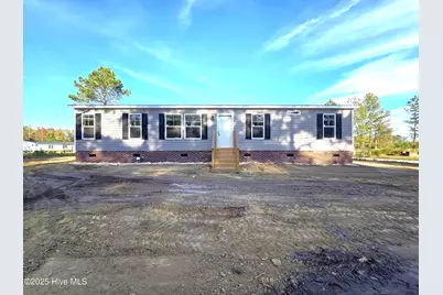 405 S Alligator Lane, Willard, NC 28478 - Photo 1