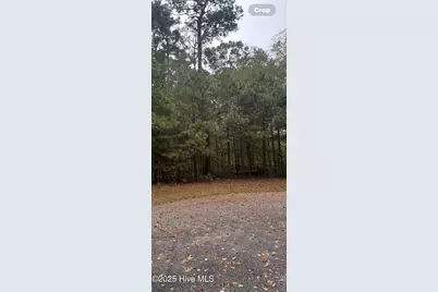 14 Broad River Drive, Hertford, NC 27944 - Photo 3