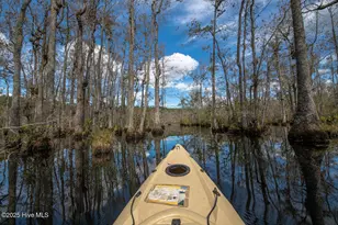 709 Everetts Mill Rd, Rockingham, NC 28379 - Photo 83